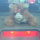Image for article titled If You Can't Buy It, Build It: Wanky The Safety Cat